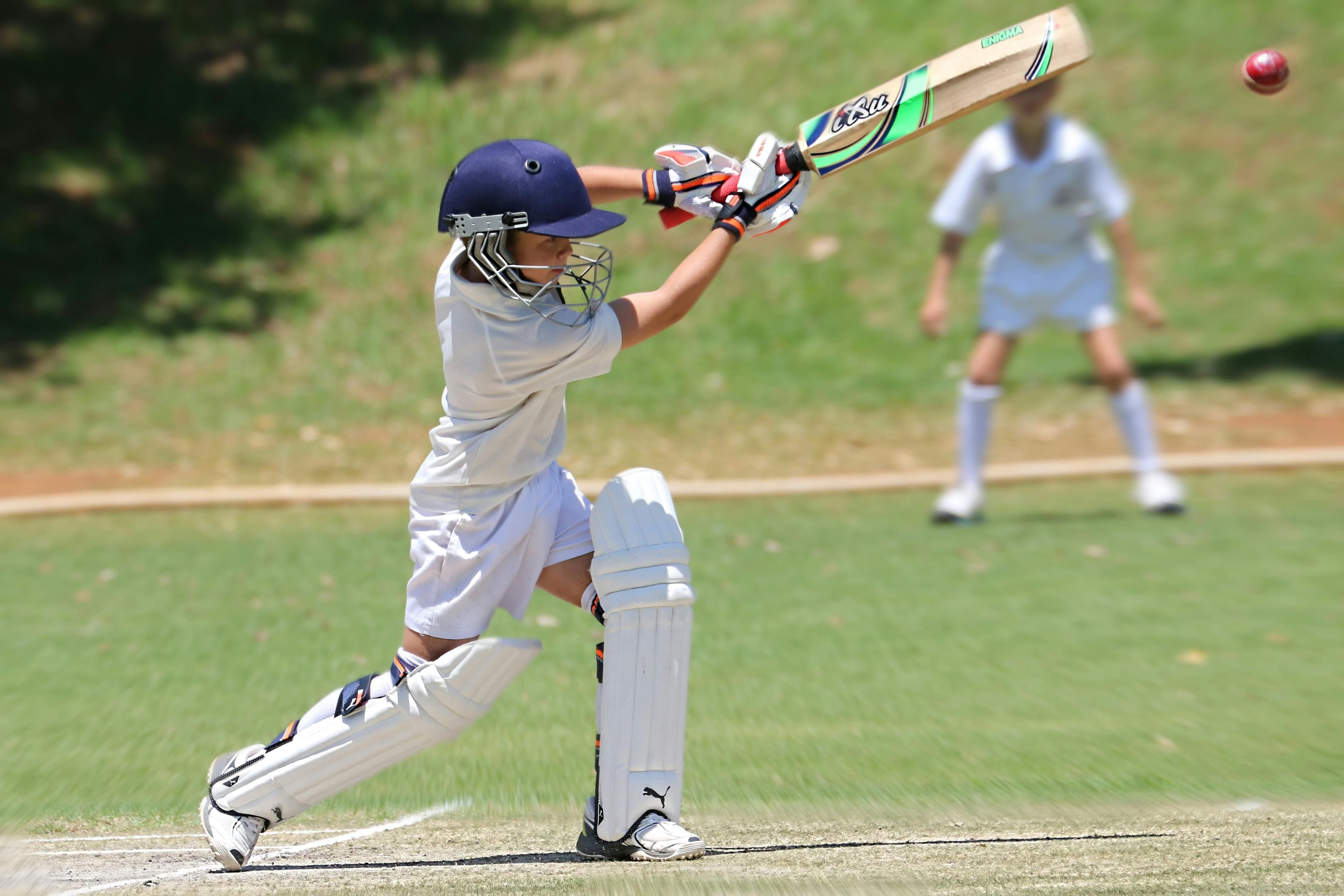 The Cricket knights