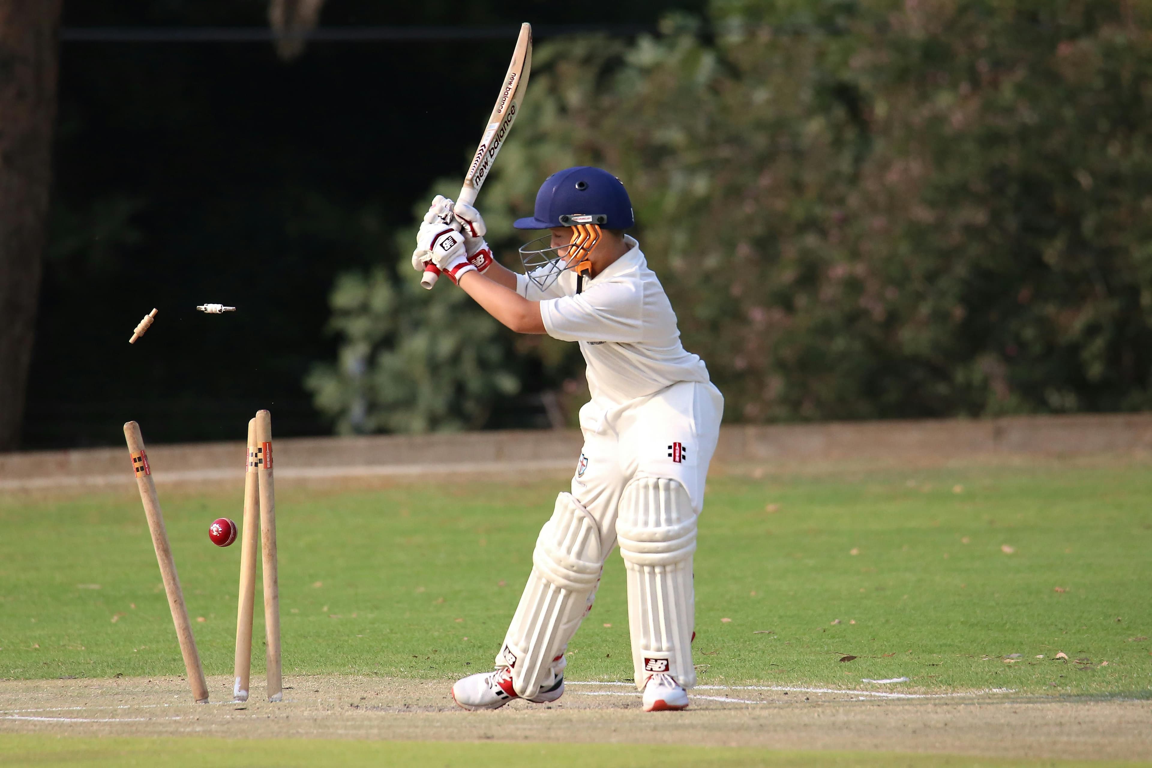 The Cricket knights