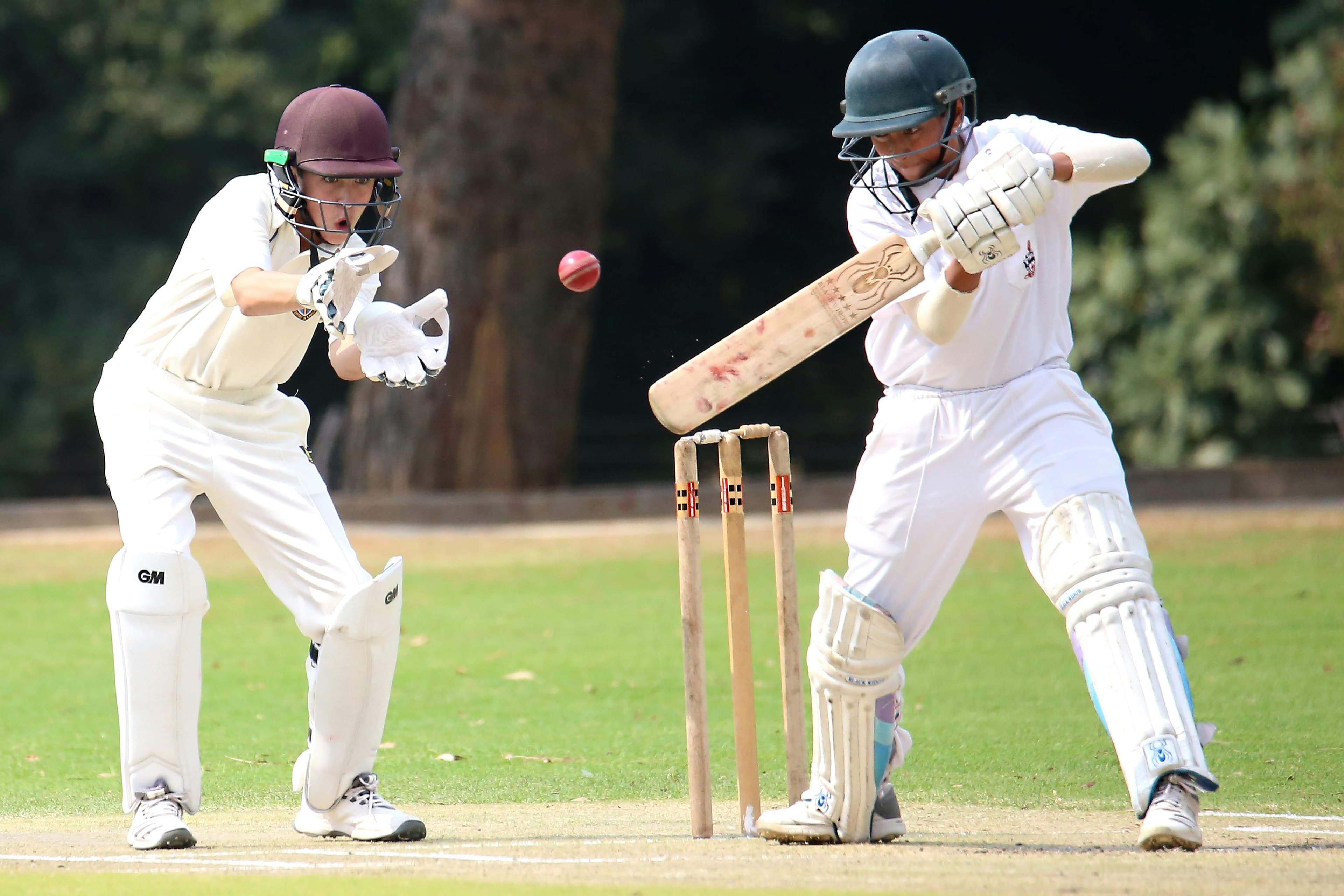 The Cricket knights